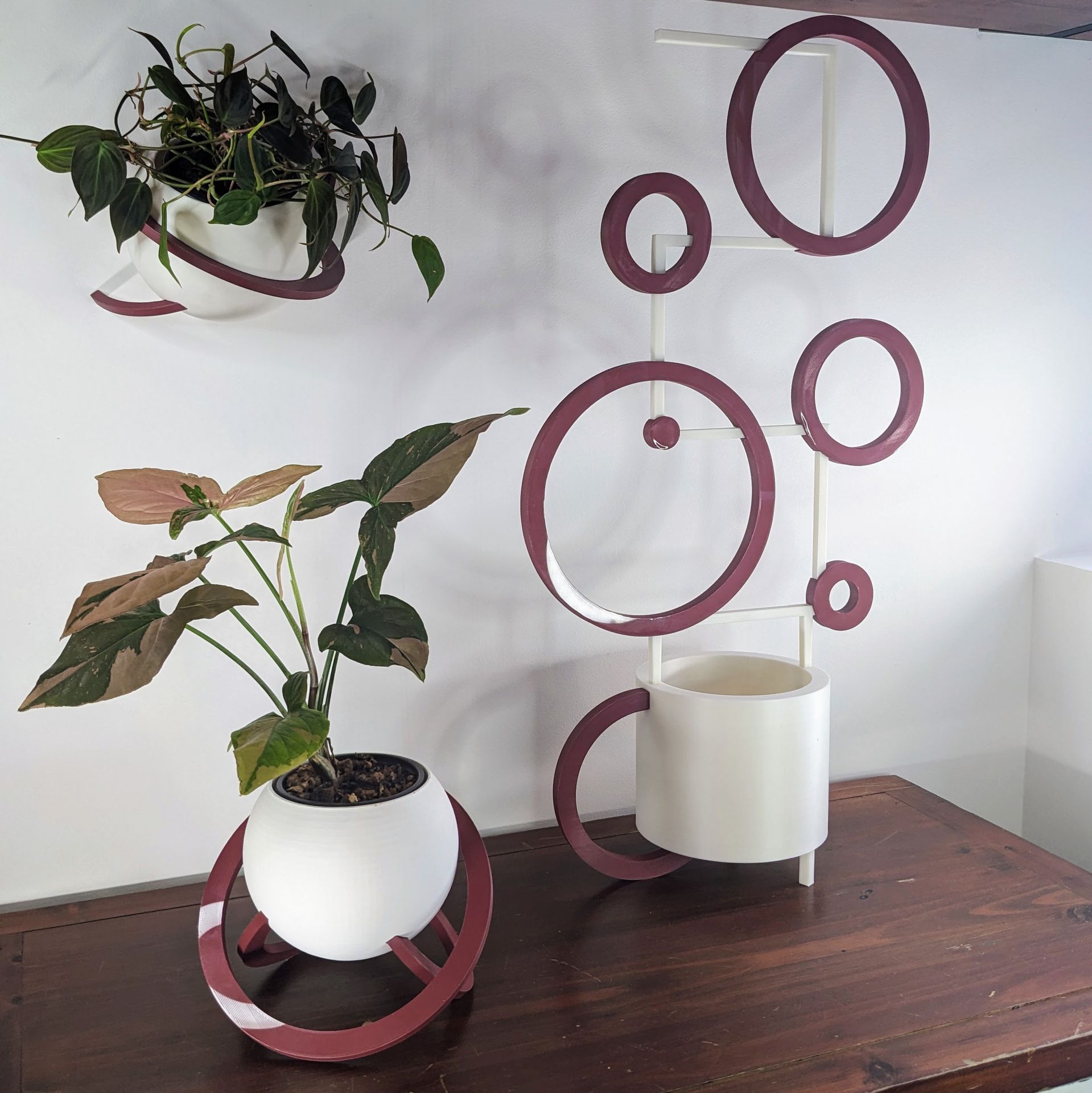 Un tuteur et son cache-pot au design moderne qui défie les lois de la gravité. Composé d'un pot, de barres et d'anneaux personnalisables bicolore ou multicolore. Accompagné d'une bouture de vos plantes d'intérieur, il sera le parfait cadeau :)