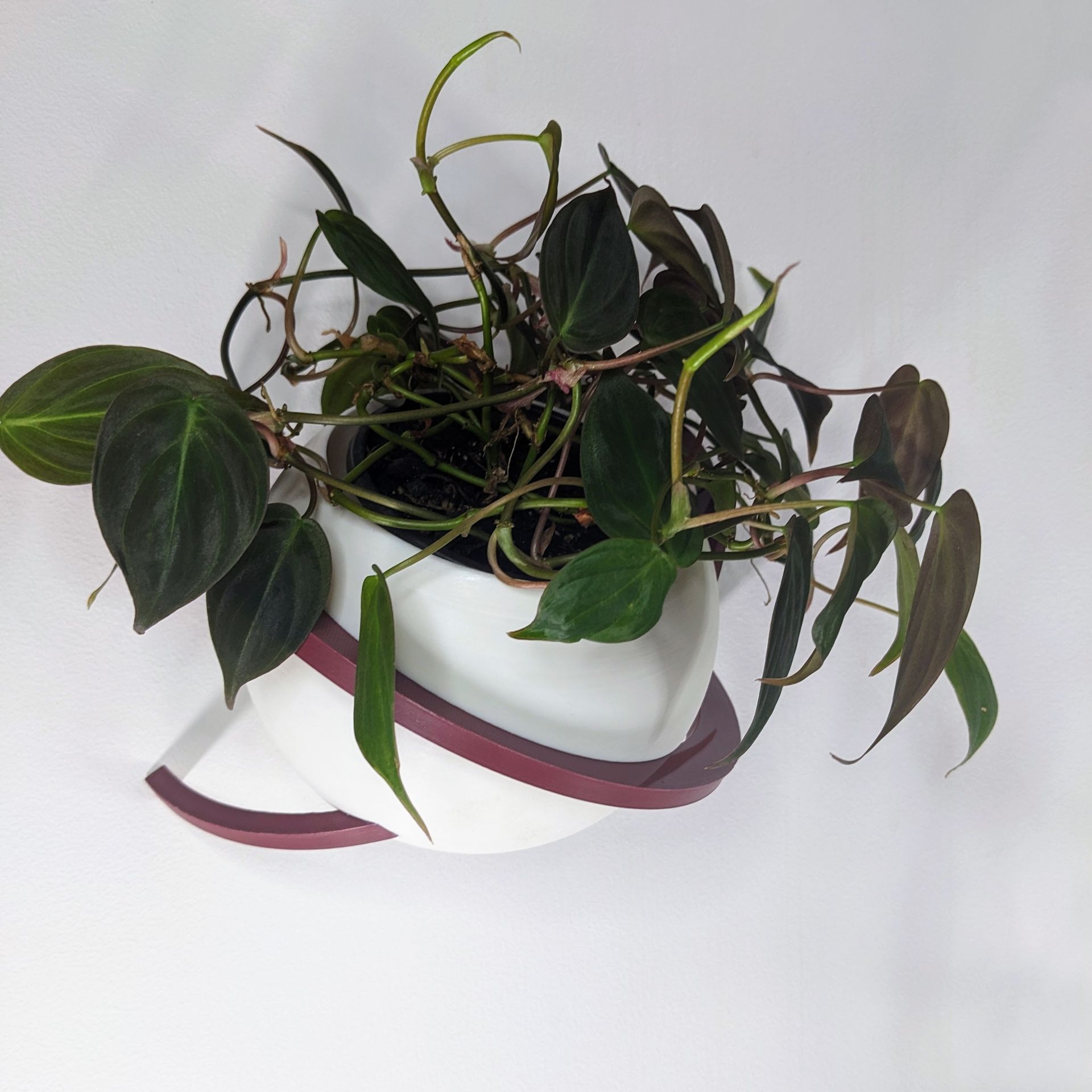 Venchartt Astral Cache-pot original design sphérique asymétrique Création en impression 3D personnalisable Cache-pot Plantes Artisanal Lyon Personnalisé Astral Original Design Sphère Décoration